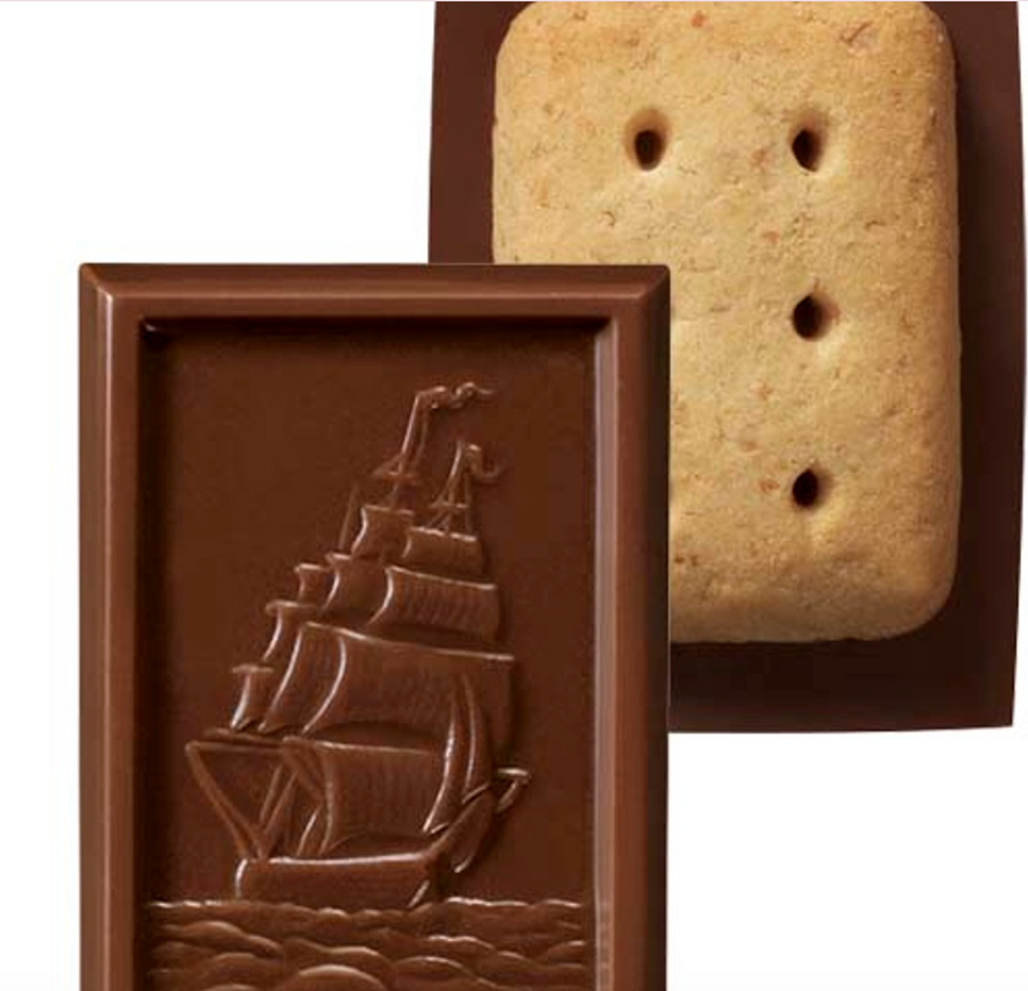 The BOURBON Alfort Mini Chocolate Biscuits 12pcs displayed outside their packaging, showing the individual chocolate-topped biscuits.