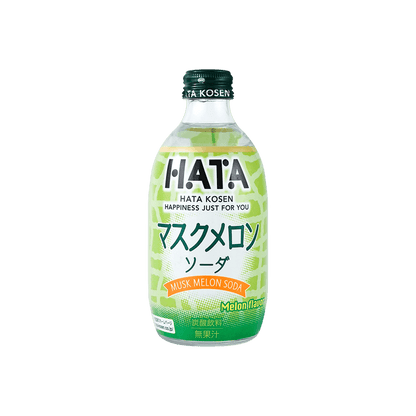 Front-facing image of the HATAKOSEN Melon Flavor Soda 10.14 fl oz plastic bottle, sealed and upright, with bright green graphics shown clearly against a white background.