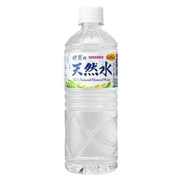 A front-facing image of the closed IGA Natural Water 600ml PET bottle in landscape orientation on a clean white background, showing the clear spring water label and bottle design.