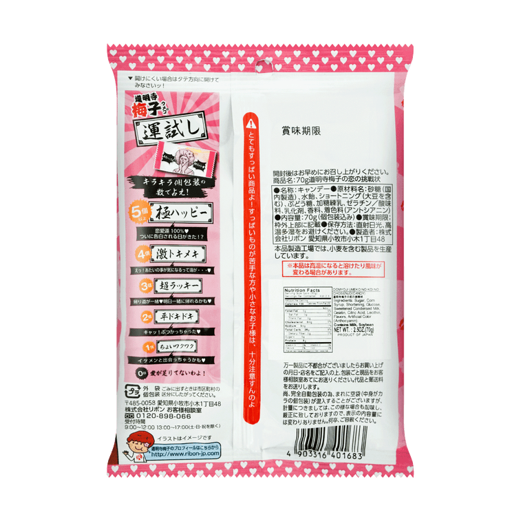 A complete back-facing portrait view of the closed RIBON Domyoji Umeko Plum Candy pouch, uncropped, showing all packaging information against a clean white background.