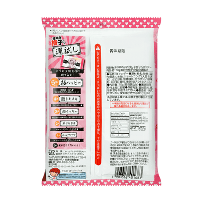 A complete back-facing portrait view of the closed RIBON Domyoji Umeko Plum Candy pouch, uncropped, showing all packaging information against a clean white background.
